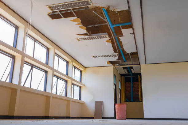 Best Flood restoration services  in Ferndale, WA