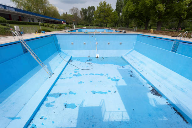 Best Water damage contractors near me  in Ferndale, WA