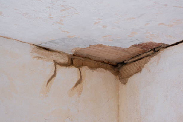 Best Flood damage cleanup  in Ferndale, WA