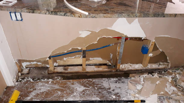 Best Local water damage restoration  in Ferndale, WA