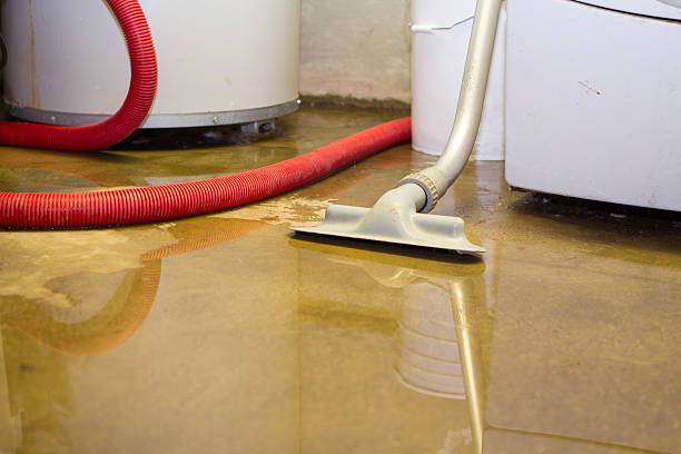 Sewage cleanup and water damage restoration in Ferndale, WA