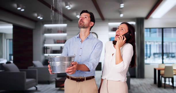 Best Water damage restoration near me  in Ferndale, WA