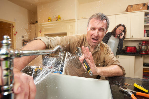Best Basement water damage restoration  in Ferndale, WA